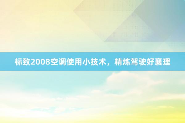 标致2008空调使用小技术，精炼驾驶好襄理